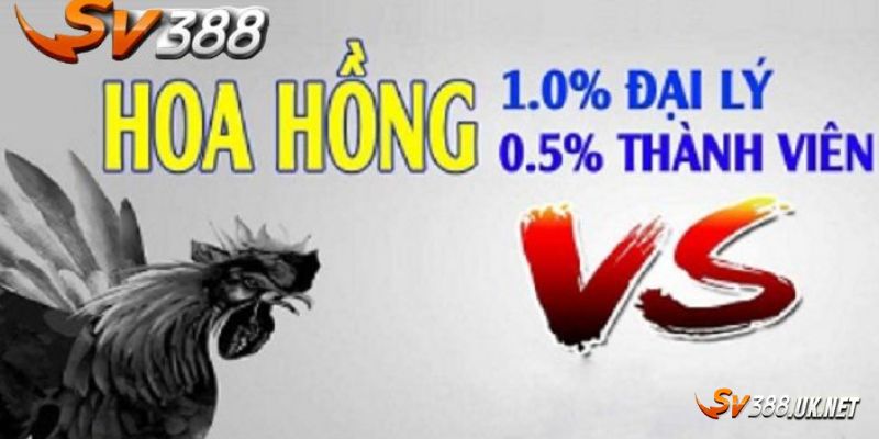 78win casino - Khám Phá Thế Giới Gà Chọi Trực Tuyến Đỉnh Cao